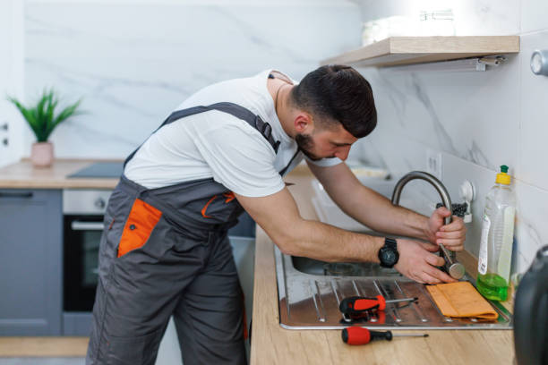 Best Toilet Repair Services  in Knoxvle, IL